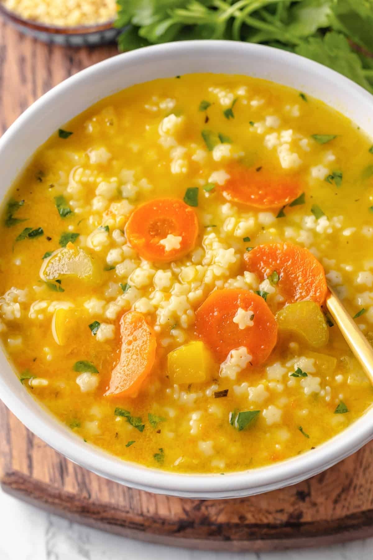 Italian Penicillin Soup a Hug in a Bowl